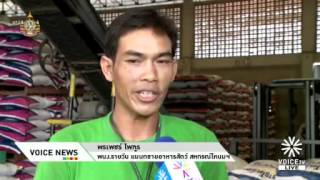 สหกรณ์โคนมวังน้ำเย็นขึ้นค่าแรง300.flv