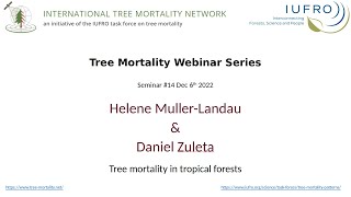 ITMN Seminar #14 Tree Mortality in Tropical Forests