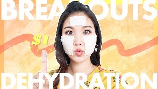 💵How To Fix Summer Breakouts and Dehydration with $1