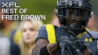 Fred Brown INCREDIBLE PLAYS - 2023 XFL Highlights