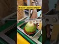 Smart Coconut Water Cart | Most Amazing Nariyal Pani Machine | Indian Street Food