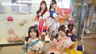 シンセカイヒーロー　20241013〜シンセカ単独フリーライブ　京都河原町OPA前　