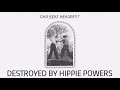 Car Seat Headrest - Destroyed by Hippie Powers (Lyrics video)