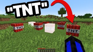 Minecraft, But If I Say "TNT" Then TNT Spawns...