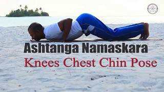 Beginners for Ashtanga namaskar or  eight limbs pose