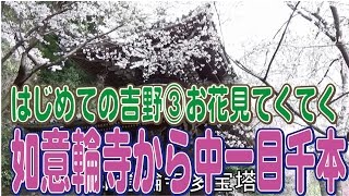 はじめての吉野③如意輪寺から中一目千本桜