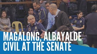 Magalong, Albayalde civil at the Senate