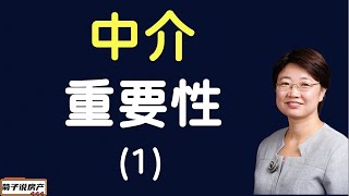 《菊子说房产》第三季 第 16 集｜美国房产投资 | 美国买房要不要找中介？中介能帮我什么？