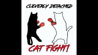 Cat Fight - Cleverly Detached - Guitar COVER 2023