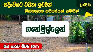 Land for sale Ganemulla - 6 acre cultivated land for sale in Gampaha District,