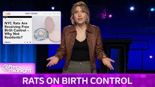 Taylor Tomlinson’s Brilliant Plan for Free Government Birth Control