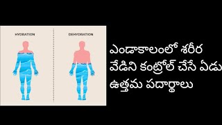 ఎండాకాలంలో శరీర వేడిని కంట్రోల్ చేసే ఏడు ఉత్తమ పదార్థాలు