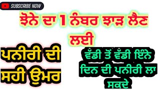 ਝੋਨੇ ਦੀ ਵੱਡੀ ਤੋਂ ਵੱਡੀ ਇੰਨੇ ਦਿਨ ਦੀ ਪਨੀਰੀ ਦਾ ਸਭ ਤੋਂ ਵੱਧ ਝਾੜ ਮਿਲਦਾ | Paddy nursery perfect age