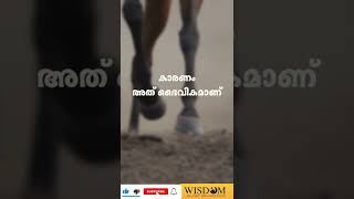 ഈ വേഗത തടയാനാവില്ല; കാരണം..! | താജുദ്ദീൻ സ്വലാഹി