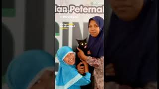 ADOPTER KUCING PEMULA