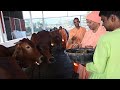 hh bhakti rasamrita swami maharaj visits iskcon rajgad