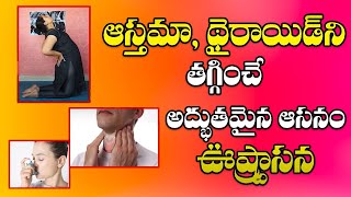 Ustrasana Benefits For The Treatment of Asthma And Thyroid | Health Tips In Telugu | Mee Doctor