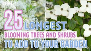 25 Longest Blooming Trees and Shrubs To Add To Your Garden