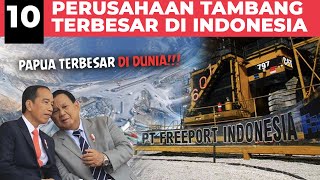 10 Perusahaan Tambang Terbesar yang ada di Indonesia, di Tanah Papua Terbesar di Dunia