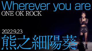 【4K】熊之細陽葵 - Wherever you are(ONE OK ROCK) カバー【LIVE】