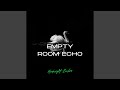 Empty Room Echo