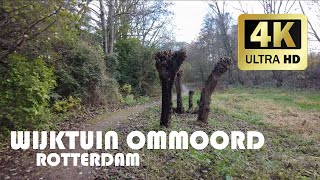 Neighborhood garden Ommoord, Rotterdam || Winter 2020 || 4K