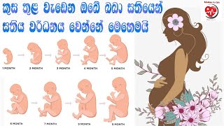 කළලයේ වර්ධනය සතියෙන් සතිය|Fetal growth week by week|Medicine for Life|Dr.Ajitha Iroshan