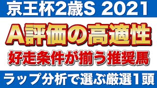 【京王杯2歳ステークス2021 予想】ラップ分析で選ぶ推奨馬！好走条件が揃う期待の1頭を特集！