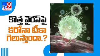 కరోనా వ్యాక్సిన్ కొత్త వైరస్ ను అంతం చేస్తుందా ? - TV9