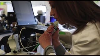 STEM Programs at SUNY Plattsburgh