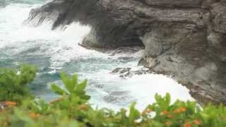 Kilauea Point - Kaua'i North Shore