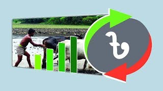 ২০১৯-২০ অর্থবছরে যেমন হচ্ছে কৃষি বাজেট | Budget In Agriculture Sector