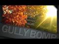 GULLY BOMB RIDDIM MIX - BLACK FOXX MOVEMENT- DJ SHAGGY DANGER