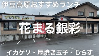 伊豆の回転寿司 花まる銀彩 伊豆高原店 2023/5 イカゲソ 198円。厚焼き玉子 258円。しらす 310円。エンガワ 358円。カツオ 358円。