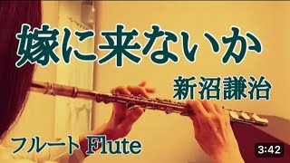 嫁に来ないか/新沼謙治【フルートで演奏してみた】\