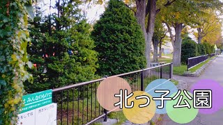 北海道・八軒８条西６丁目にある公園【北っ子公園】