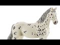 Schleich Horse Club Knabstrupper mare toy review video #shorts