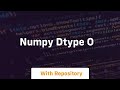 numpy dtype o