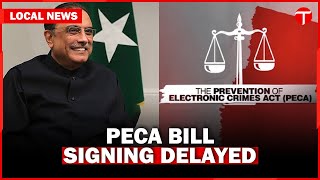 Asif Ali Zardari delays signing controversial PECA bill after journalists' concerns