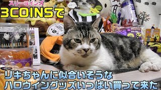 リキちゃんに似合いそうなハロウィングッズを色々買って来た☆スリーコインズのペットアイテム・購入品紹介【リキちゃんねる　猫動画】Cat video　キジトラ猫との暮らし