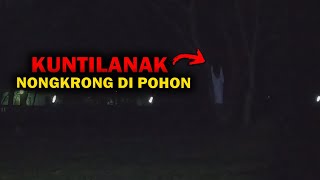 🔴 1020- KUNTILANAK NONGKRONG DI POHON