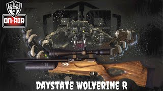 Daystate Wolverine R Review