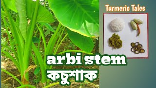 2 traditional arbi stem recipes| Colocasia |How to cook Arbi Stem (kachu saag) | কচুশাক