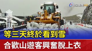 等三天終於看到雪 合歡山遊客興奮脫上衣