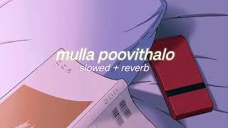 mulla poovithalo ( s l o w e d + r e v e r b ) | lilvibe