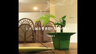 ひがし鍼灸整骨院の院内紹介動画