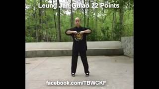 Wing Chun Nation  Leung Jan Wing Chun   22 Gu Lao Kulo Points @ipwcn108