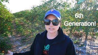 Life of a 6th Generation Citrus Farmer - Joshua Citrus Tour