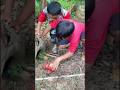 Pemulung Miskin Menemukan Lubang Misterius di Tengah Hutan