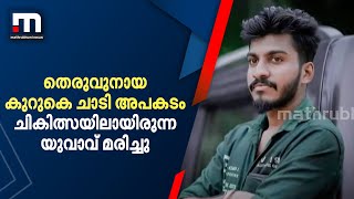 തെരുവുനായ കുറുകെ ചാടി അപകടം; ചികിത്സയിലായിരുന്ന യുവാവ് മരിച്ചു| Mathrubhumi News